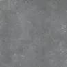 Accro gris argenté